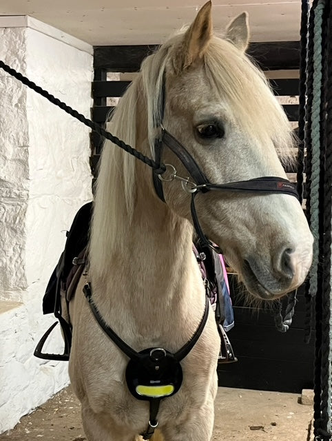 Digitalt presentkort.