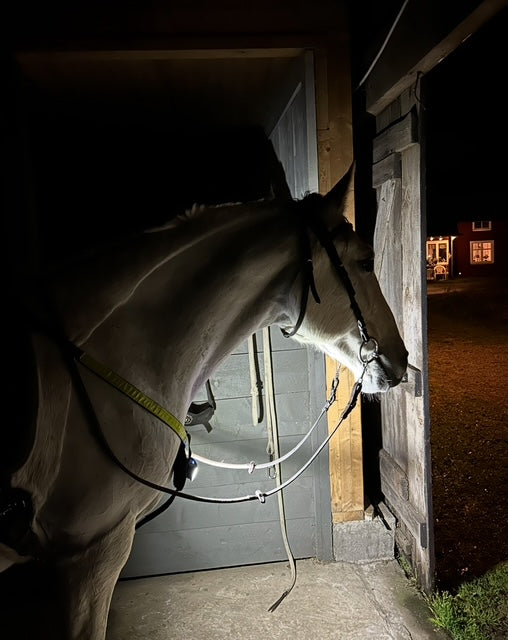 Digitalt presentkort.