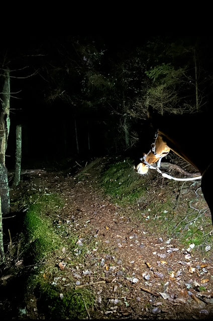 Digitalt presentkort.