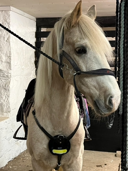 Digitalt presentkort.