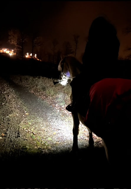 Digitalt presentkort.